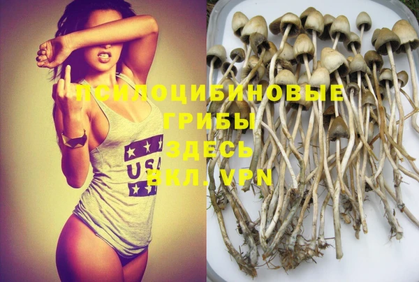 тгк Магадан
