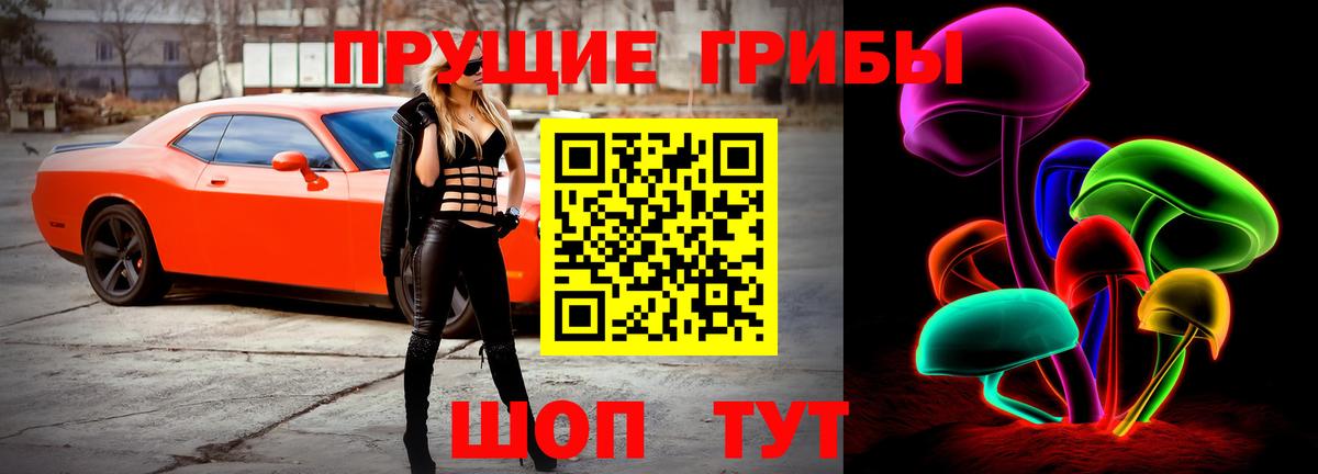 Тутаев  Псилоцибиновые грибы прущие грибы  Вход с VPN  Галлюциногенные грибы Psilocybine cubensis 